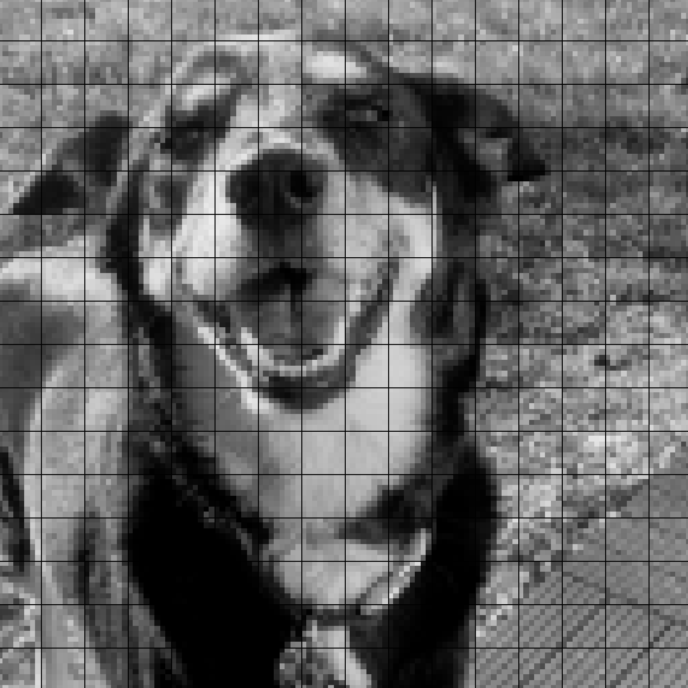 photo desaturated and scaled down with grid