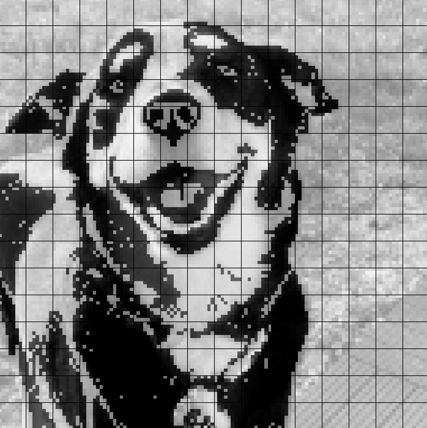 photo and grid traced over with pixel brush outlines